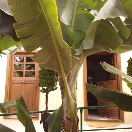 Casa Rural Llano Campo Hermigua Eksteriør bilde